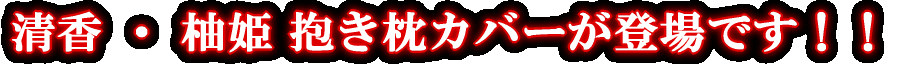 教育指導 抱き枕カバー登場です!!